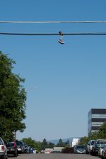 DSC_9412.jpg