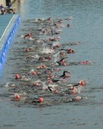 MontrealWorlds-1.jpg