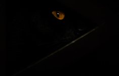 Dell Eye Low Key (1 of 1).jpg