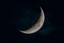 _DAB1818-Enhanced-5.jpg