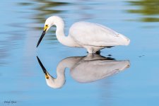 SnowyReflection-317.jpg