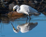 SnowyReflection-318.jpg