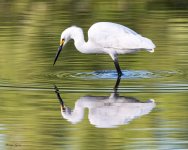 SnowyReflection-319.jpg