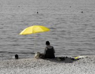 yellow-2.jpg