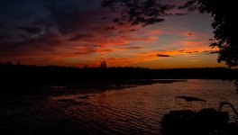 D72_8030-2.jpg