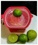 limes-1.jpg