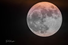 Moon3-1.jpg