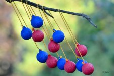 Red and Blue balls.jpg