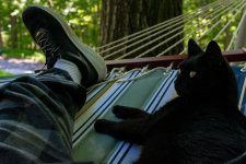 Dell Hammock 5 (1 of 1).jpg