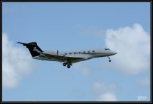 71D_7083 .jpg