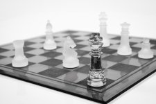 Predominantly White Chess (1 of 1).jpg