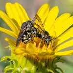 BeePornMaybe-341.jpg