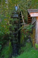 500_0042_01_LSh_sm.jpg