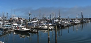 500_0014_0016_stitch.jpg
