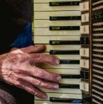 Dad Accordian Hand 2 (1 of 1).jpg