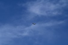 ROY_5275.JPG