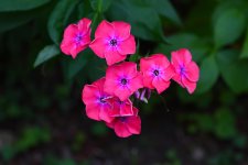 750_0030_01_cr_sm.jpg