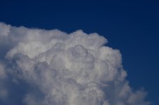 ROY_5302.JPG