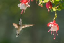 D5C_7097-.jpg