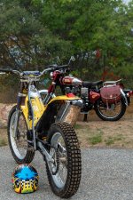 Buttercup and Royal Enfield (1 of 1).jpg