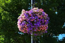 750_0076_01_L_cr_sm.jpg