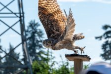 DSC_2448.jpg