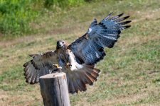 DSC_2378.jpg