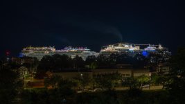 DSC_1226.jpg