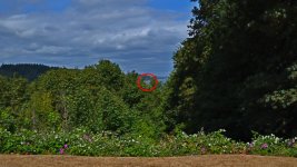500_0100_01_LSh_cr1_sm.jpg