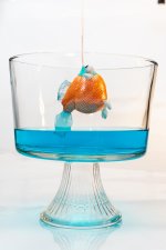 Fish Over Bowl (1 of 1).jpg