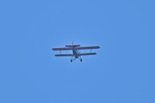 500_0002_01_LSh_cr.jpg