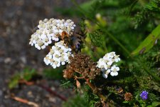 500_0023_01_LSh_cr_sm.jpg