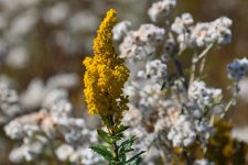 500_0041_01_cr_sm.jpg