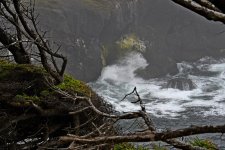 500_0030_LSh_sm.jpg
