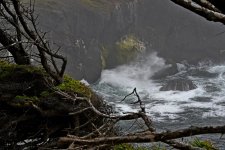 500_0033_LSh_sm.jpg