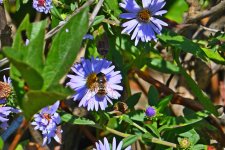 500_0410_01_L_cr.jpg