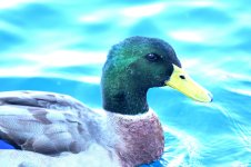 ROY_8023.jpg