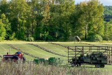 Hay Toss 2 (1 of 1).jpg