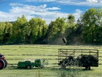 Hay Toss 3 (1 of 1).jpg