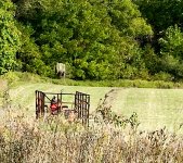 Hay Toss 4 (1 of 1).jpg