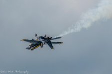 RD5_5454-Blue Angels Boeing FA-18 Super Hornet.jpg