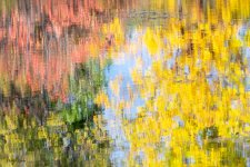 AbstractAutumn-410.jpg