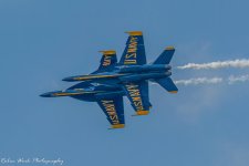 RD5_5825-Blue Angels.jpg