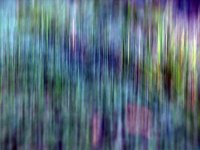 Curtain.jpg
