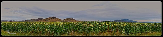 10-14-22-CR-_7506572 Pano-2022-10-14-211837_ -ON1.jpg