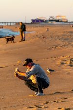 Photog on beach with gull (1 of 2).jpg