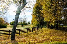 20221017 Country Roads-2761-Edit.jpg
