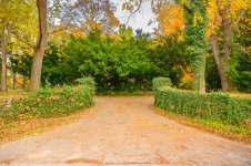 20221017 Country Roads-2749.jpg