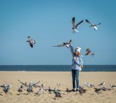 Girl Feeding Gulls 2 (1 of 1).jpg