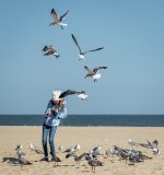 Girl Feeding Gulls 5 (1 of 1).jpg
